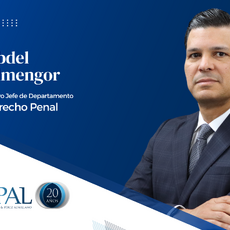 IPAL nombra a Abdel Almengor como Jefe del Departamento de Litigios Penales